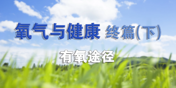 氧氣與身體的不解之緣（完結(jié)篇）