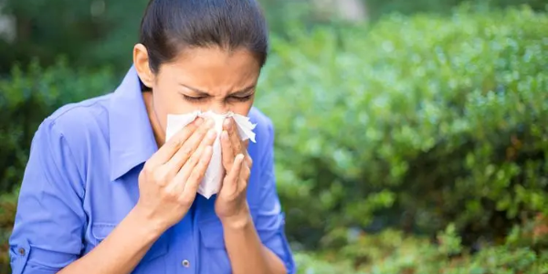 四季防敏全攻略：認識與管理過敏性鼻炎